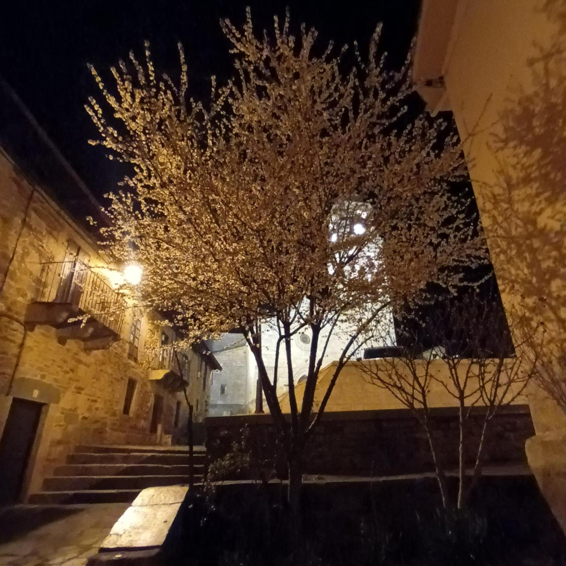 Villa La Artesonada Casa Con Finca Puebla de Sanabria Exterior foto