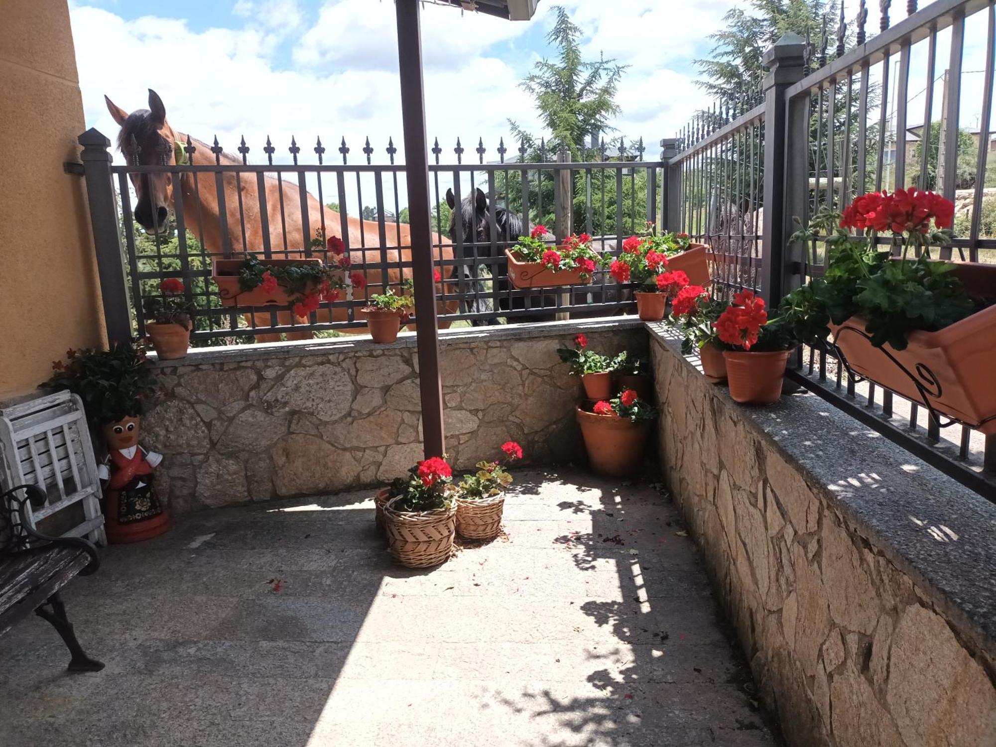 Villa La Artesonada Casa Con Finca Puebla de Sanabria Exterior foto